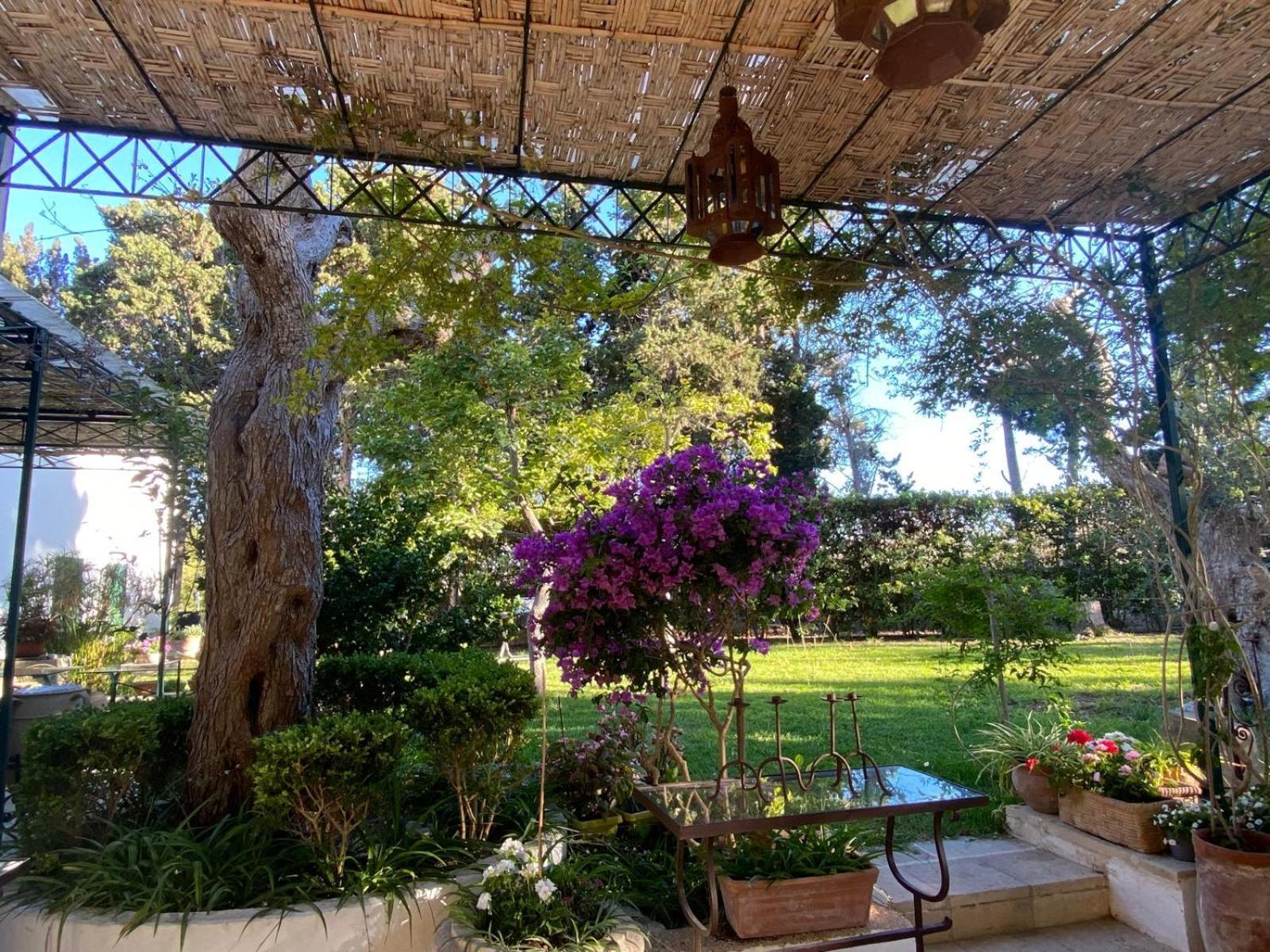 أوترانتو Tenuta Belvedere المظهر الخارجي الصورة